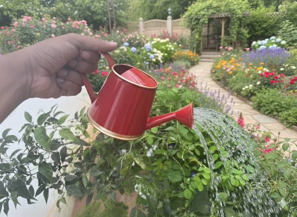 MYTHREEAGROTECH Watering Can 250ml with Gold Border for Kids 1076-C 0.25 L Water Cane