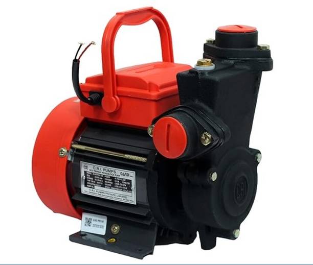 CRI GLAD 100 Centrifugal Water Pump