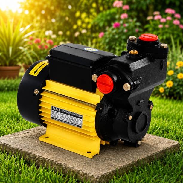 SHAKTHIPUMP 1 HP SELF PRIMING REGENERATIVE PUMP Centrifugal Water Pump