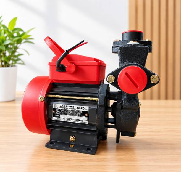 CRI GLAD PRO 100 Centrifugal Water Pump