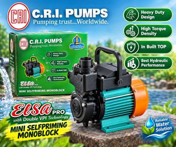 CRI Elsa 100 Centrifugal Water Pump