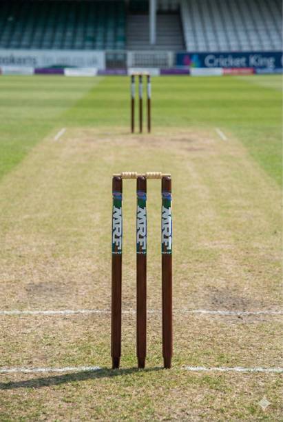 AMN SPORTS mrf STUMPS PREMIUM QUALITY NATURAL WOOD PACK...
