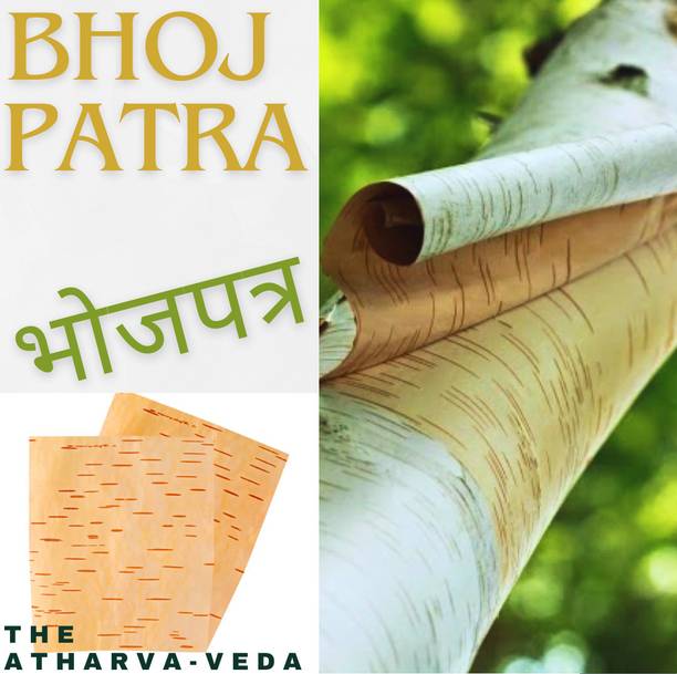 The Atharva-veda 2Pc Original bhojpatra sheet, bhoj patra for yantra, Betula utilis, Bhurjapatra Wooden Yantra