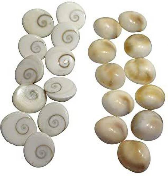 Arya Hawan Samagri Suninow atural Gomati/Gomti Chakra Original for Puja (White) – 11 Pieces (11) Stoneware Yantra