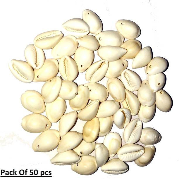 Sandynavz Natural Kaudi, cowrie, kodi Single Drilled Hole for Making Artificial Jewellery Plastic Yantra