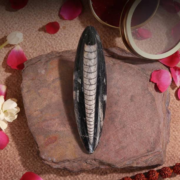 Pujashree Original Natural Kuber Stone | Attract Wealth, Money & Financial Growth | Stoneware Yantra