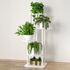 STANSY 5 Tier Plant Stand for Indoor Plants Light Walnut Shelves with ...
