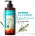 Pilgrim Australian Tea Tree Anti Dandruff Shampoo For Women | For Dry & Itchy Scalp 400 ml