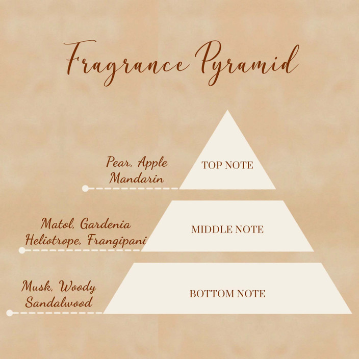 Fragrance Pyramid What Are The Different Notes In Perfume