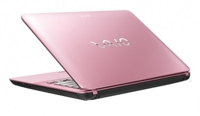 Sony VAIO Fit 14E F14216SN/P Laptop (3rd Gen Ci3/ 2GB/ 500GB