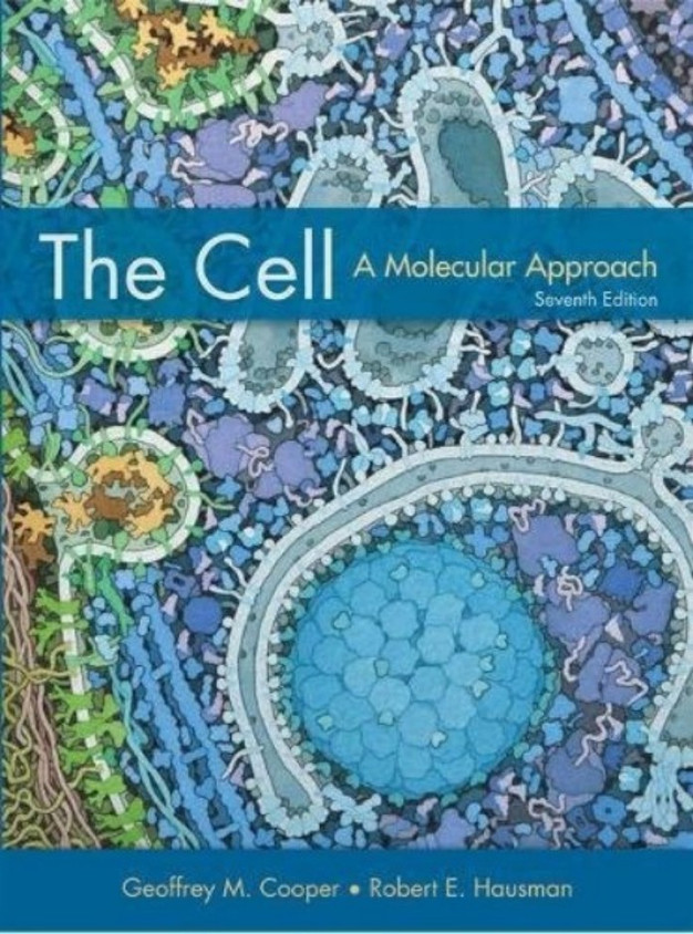 the-cell-a-molecular-approach-