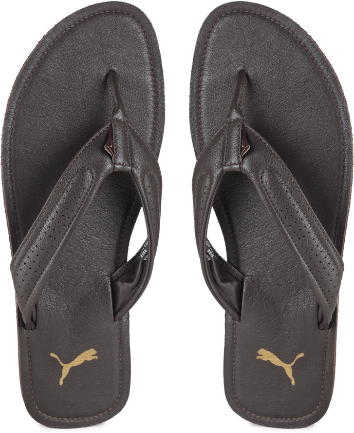 Leather Puma Brown Flip Flops PUMA Men Stan Slippers Buy Root Beer - Main Image