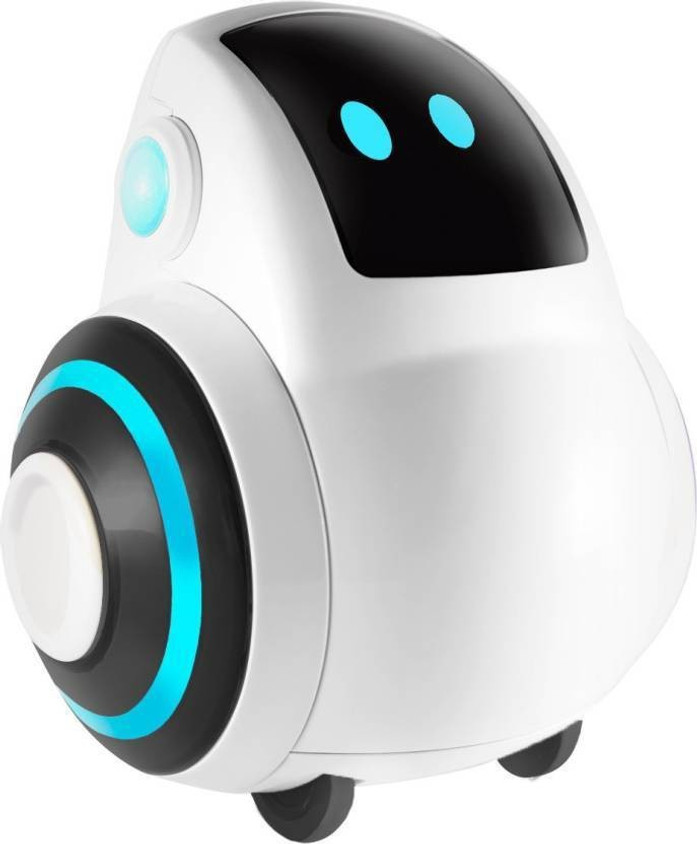 Companion Robot Real Robot Price Buddy Social Companion Robot – Oz