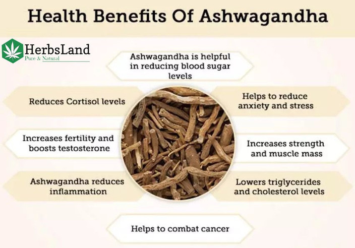 ashwagandha powder benefits () ashwagandha powder benefits
