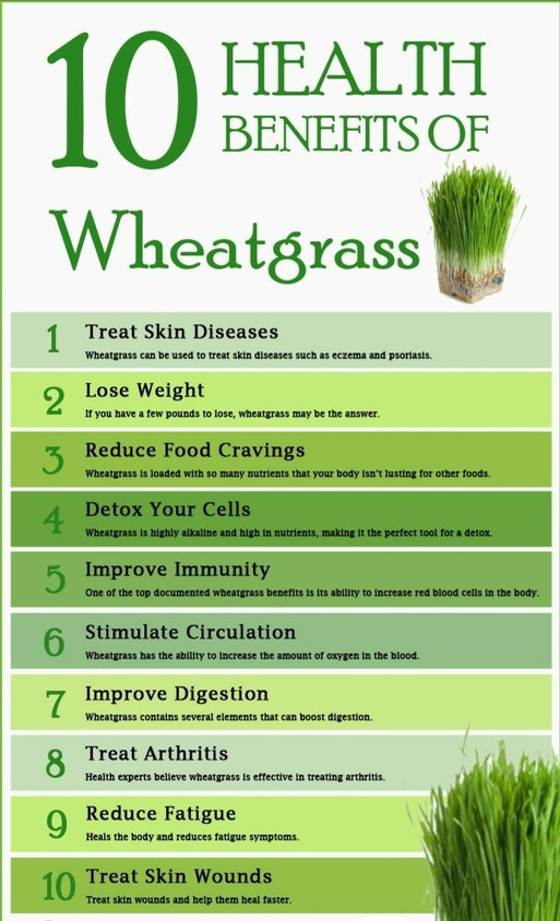 wheatgrass powder benefits () wheatgrass powder benefits