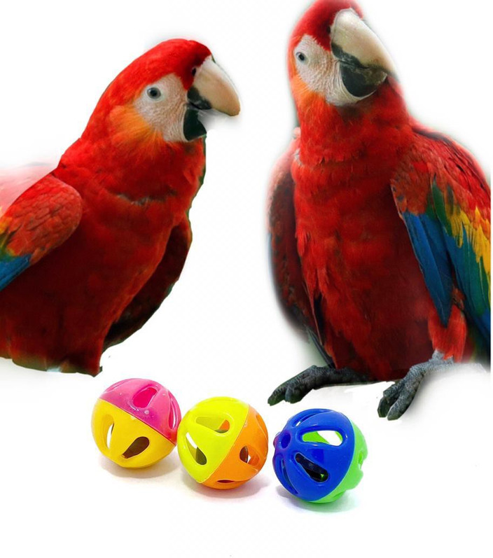 Parrot Bird Bell Toy Wriddhi Bird Interactive Bell Ball, Bird Toy