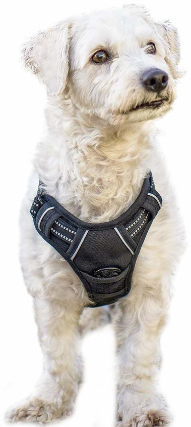 pull pet