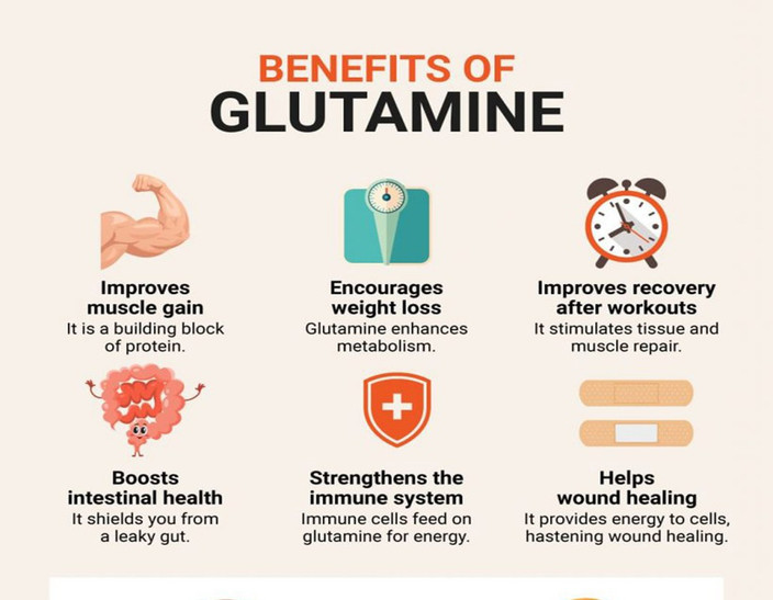 glutamine benefits () glutamine benefits