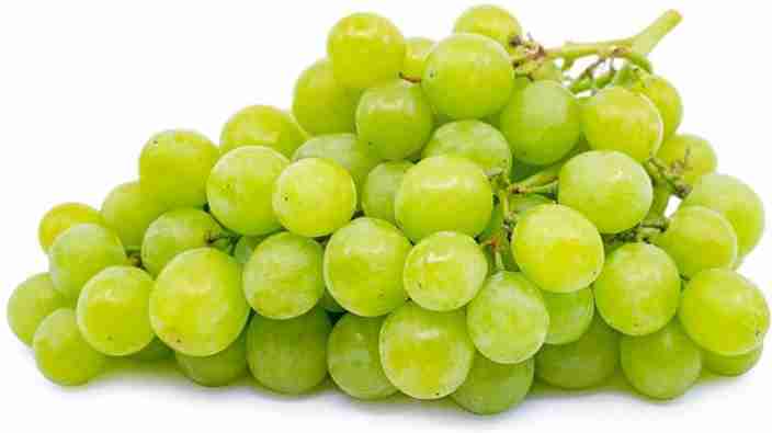 Grapesoda®︎0421 XOLDA Grapes Fruit Seed Price in India - Buy XOLDA Grapes Fruit