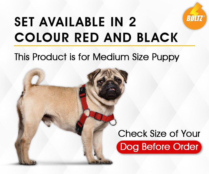 Pug Elizabethan Collar Petbarn Pug Collars And Harnesses Pug Dog