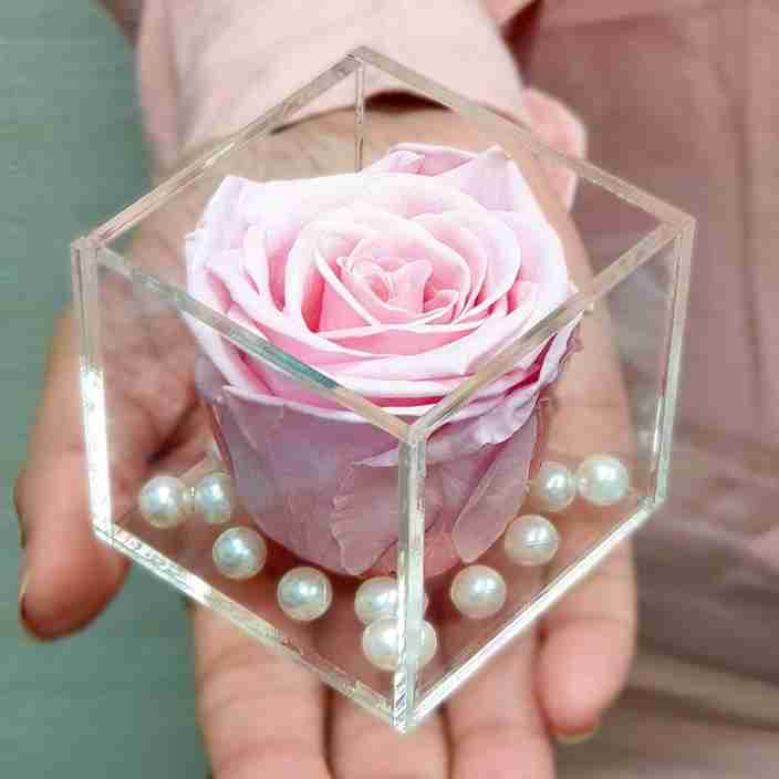 Giftcart Real Preserved Forever Rose Light Pink | Long Lasting