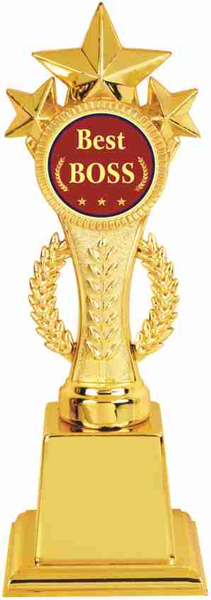 AARK INDIA gift for Boss birthday:anniversary gift Trophy:Award