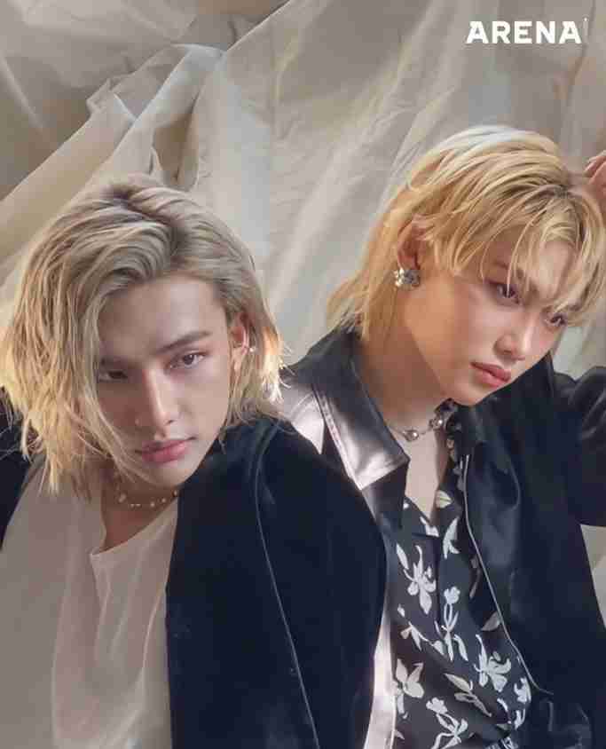 straykids フィリックス GO生 ミニポスター Amazon.co.jp: Felix フィリックスstray Kids SKZ ストレイキッズ Kpop