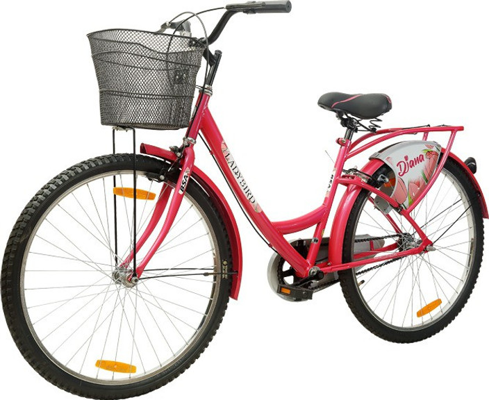 Bike Bsa Flora Bsa Cycles Big Girls Cycle Bsa Flora Bicycle For