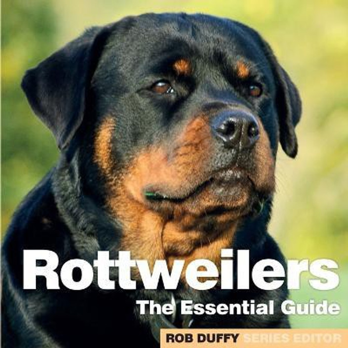Dog Price Rottweiler Rottweiler Male Breed Pet Dog At INR In Delhi