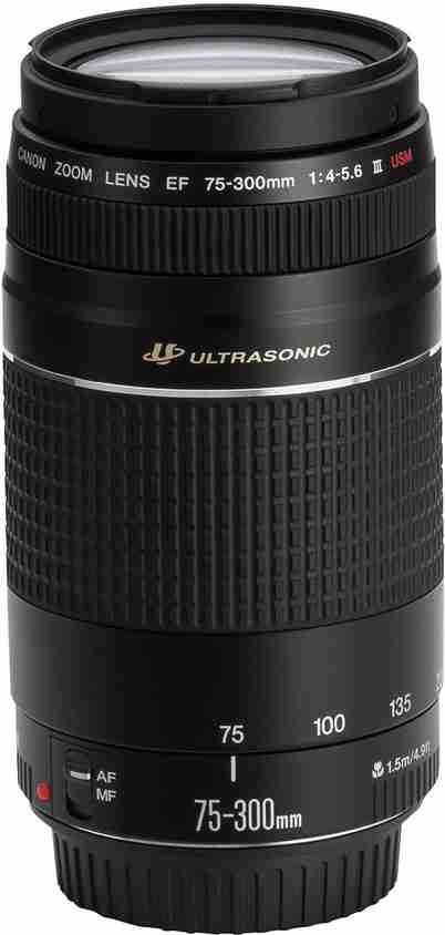 CANON ZOOM LENS EF 75-300mm 1:4-5.6 IS良品 canon-telephoto-zoom-ef-75-300