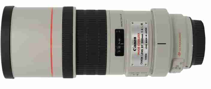 canon-ef-300mm-f-4l-is-usm-