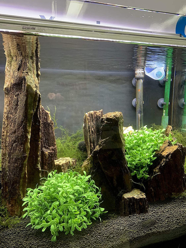 VAYINATO Green Short Bush Aquarium Plastic Decoration Plants Pack