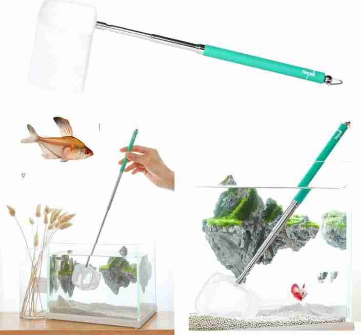 Aquarium Net for Small Fish: Essential Tips for Safe Catching