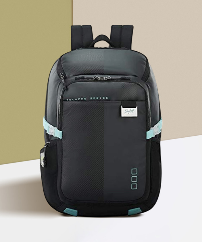 Skybags Flipkart Laptop Backpack SKYBAGS VALOR PRO 02