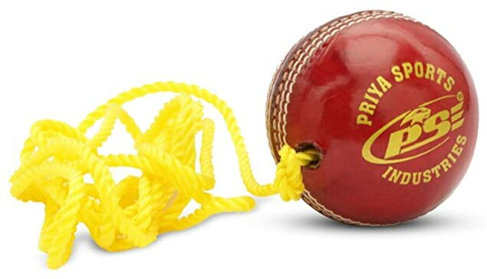 Priya Sports Practice-Red Cricket Training Ball