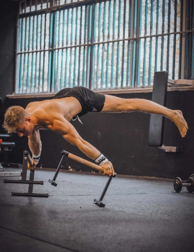 Champipion Barre Parallele Per Dips In Legno, Super Resistente Fino A 170 Kg - Per Calisthenics, Pompate E Allenamento A Casa