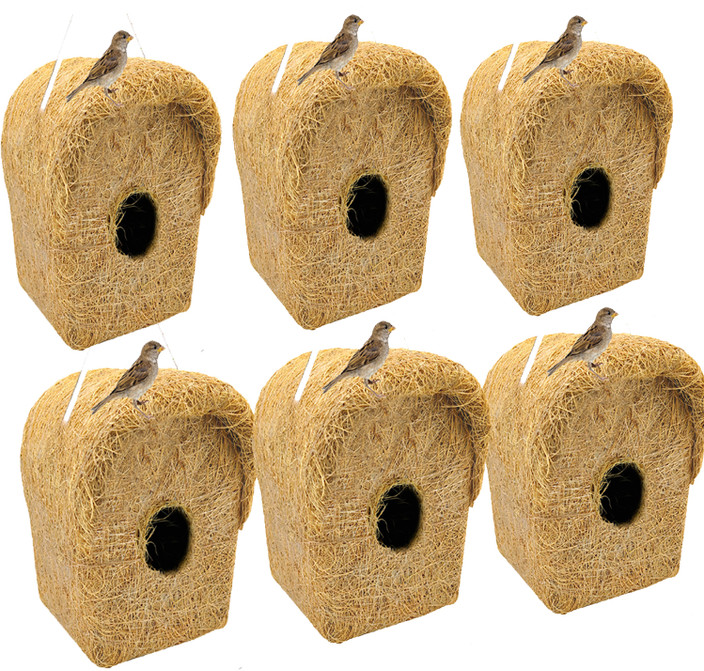 A House for Every Bird: Ultimate Guide to Perfect Nesting Homes