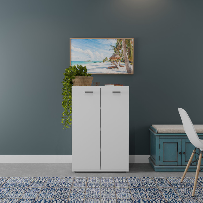 Divysa Door Multi-Purpose Storage Cabinet for Hallway, Living