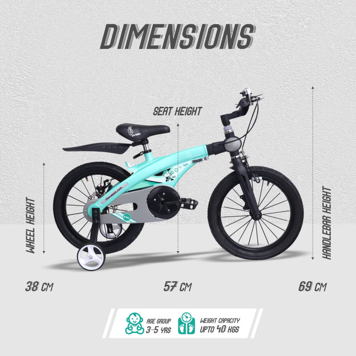 R for Rabbit The Smart Plug and Play Kids Cycle (14 inches/T For