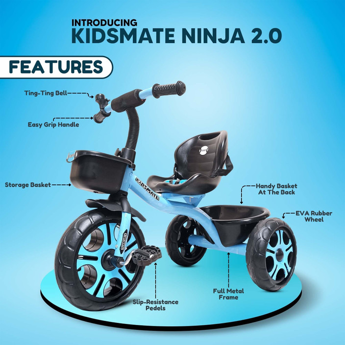 Bike Tricycles For Big Kids Dirt King 43 In Big Kids Dually