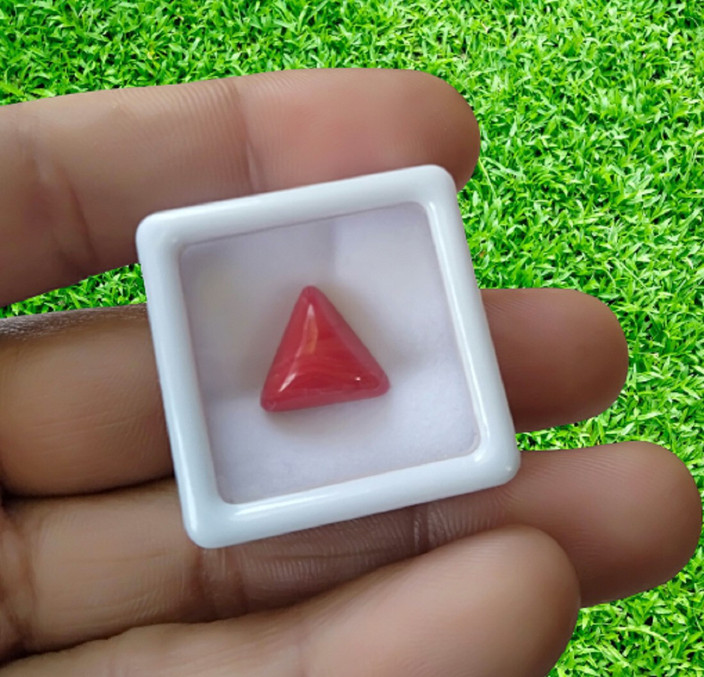 Aanya Jewels Red Coral Ratti Natural Red Italian Moonga Gemstone  Triangle Shape Certified Rashi Ratan Gemstone AAA++ Quality Coral Stone  Coral