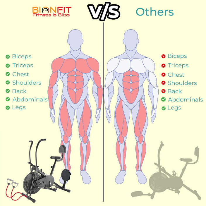 Muscle Groups What Does The Exercise Bike Do For You BIONFIT