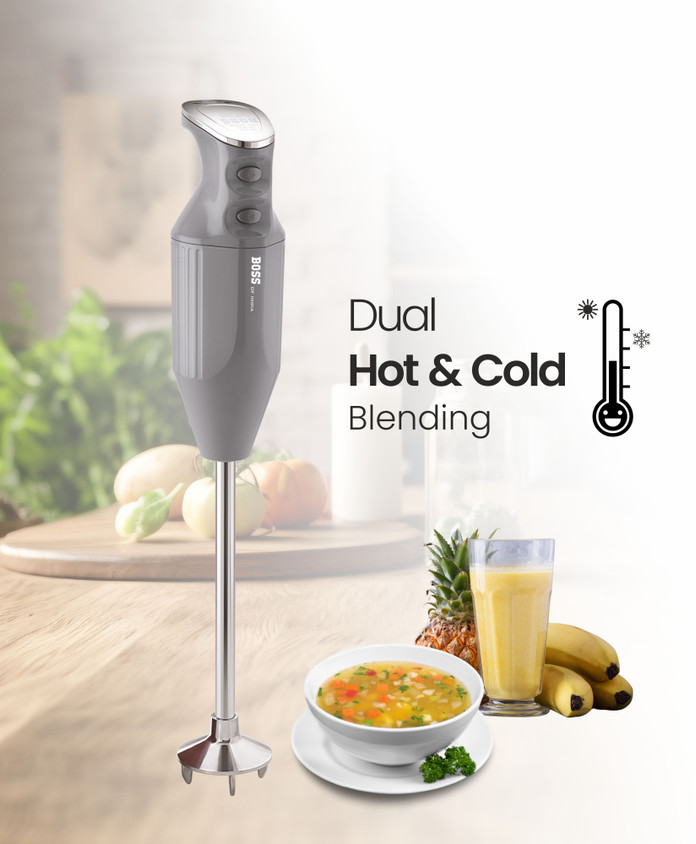 Big Boss Portable Blender Boss Hand Mixer Price Boss Big 160 Watt