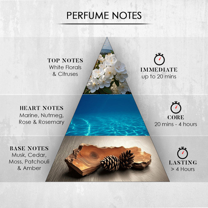 What Are Top Middle And Base Notes In Perfume Heart Notes Pyramid