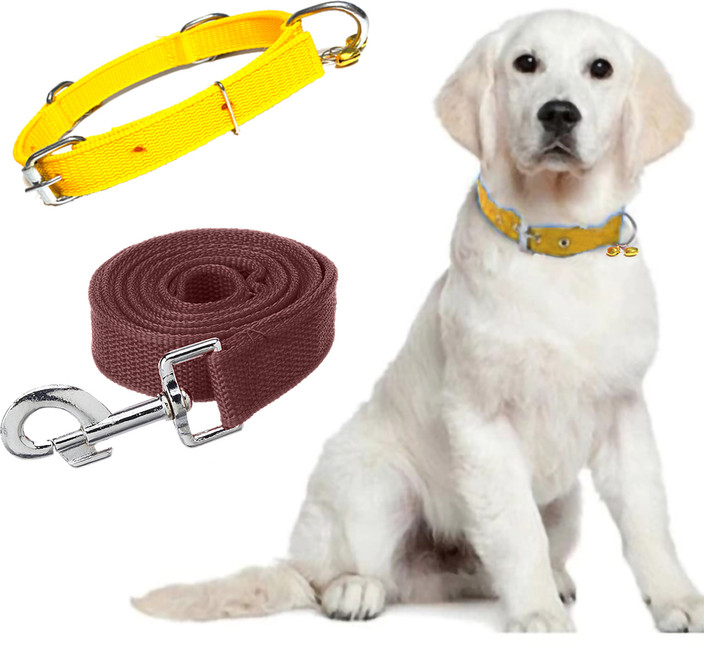 ALCAZAR Dog Collar Leash Set, Adjustable Size (Recommanded for