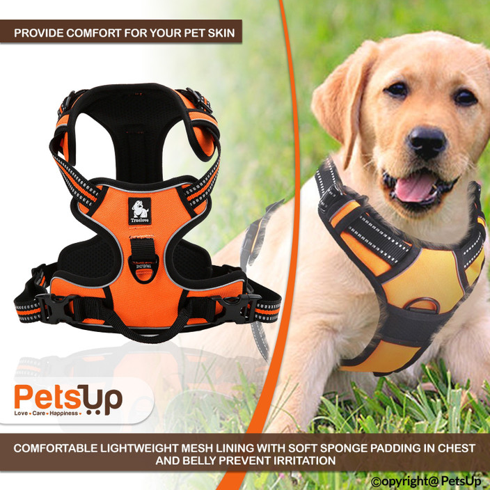 Golden Retrievers Lab Puppy Collar Petsup Dog Body Harness For