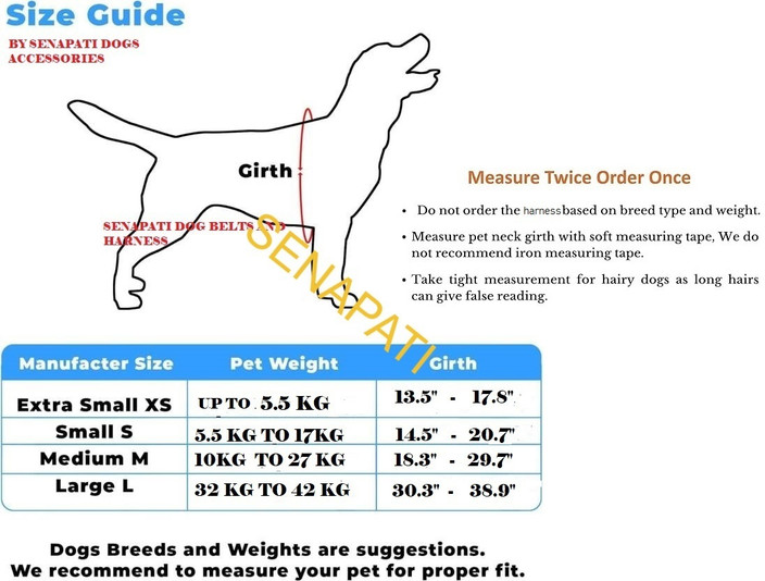 Chart How Old Is 199 In Dog Years 199 Dog Years In Human Years What Is