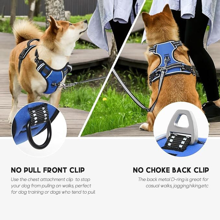 Cocker Fur Harness Blue Collar Dog Safety Harness Price in India