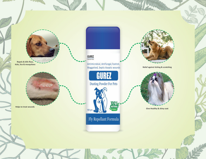Itching Antifungal Powder For Dogs Gurez Natural Pet Powder For