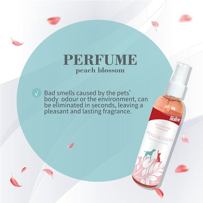 Peach Blossom Peach Smelling Perfume Dress Living Clear Perfume